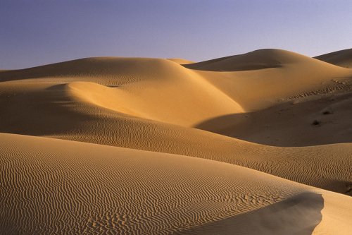 Désert de Mauritanie. Etendue de dunes dans la région de Tijikja.(VOY 02692)