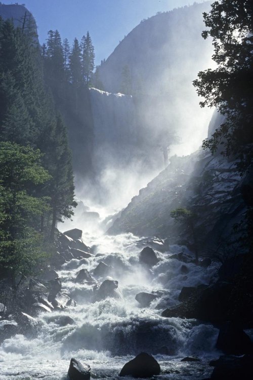 Yosemite National Park (Californie). Merced River.(V 04830)