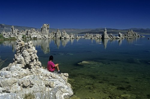 Mono Lake (Californie).(V 04914)
