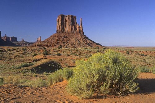 Monument Valley (Utah). Mitten Butte West.(V 05211)