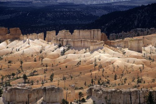 Bryce Canyon (Utah). Fairyland.(V 05682)