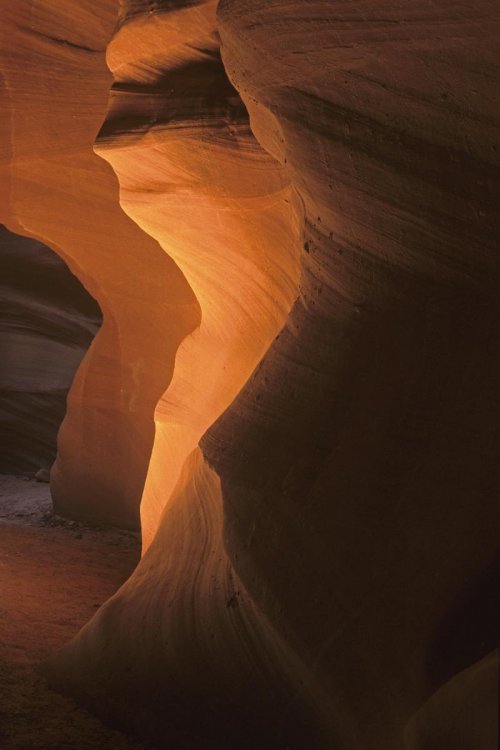 Glen Canyon. Antelope Canyon : détail des parois.(V 05777)