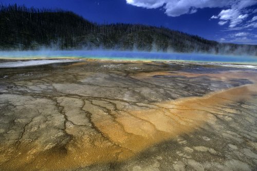 Yellowstone National Park. Prismatic Spring.(V 06039)