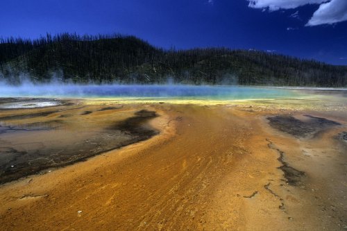 Yellowstone National Park. Prismatic Spring.(V 06042)