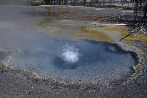 Yellowstone National Park. Petit geyser de Firehole Spring.(V 06064)
