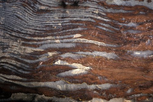 Pétra. Détail des murs de grès.(VOY 06676)