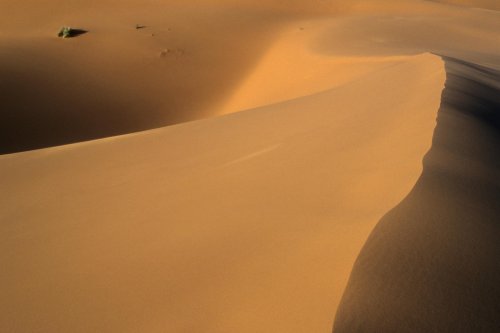 Dunes de Merzouga. Détail d'une crête.(VOY 06988)
