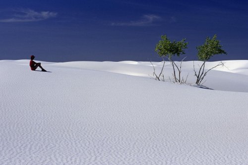 White Sands National Monument, New Mexico. Désert de gypse. (V 08532)