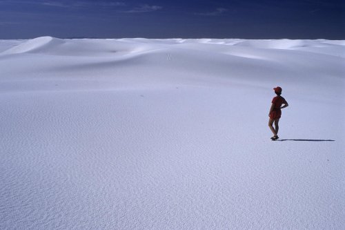 White Sands National Monument, New Mexico. Désert de gypse.(V 08538)