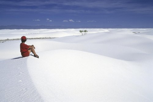 White Sands National Monument, New Mexico. Désert de gypse.(V 08542)