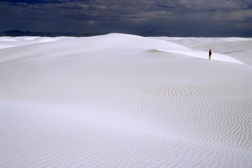 White Sands National Monument, New Mexico. Désert de Gypse.(V 08706)