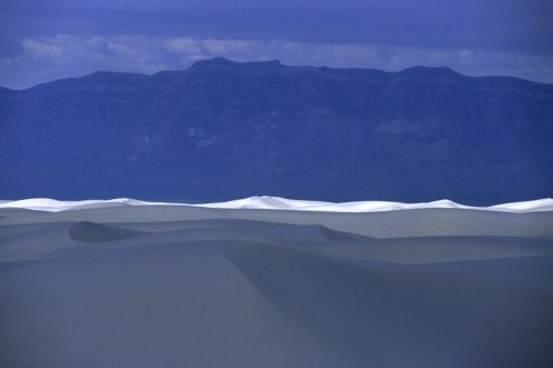 White Sands National Monument, New Mexico. Désert de gypse.(V 08731)