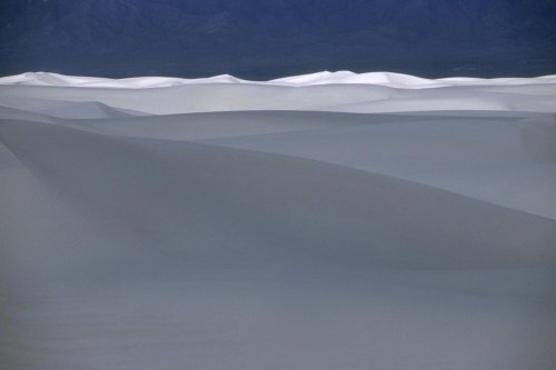 White Sands National Monument, New Mexico. Désert de gypse.(V 08735)