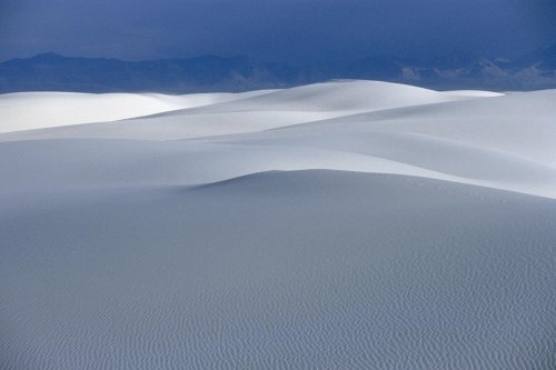 White Sands National Monument, New Mexico. Désert de gypse.(V 08749)