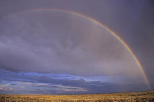 Arizona (USA)(V 08789)