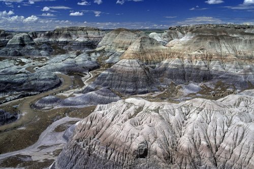 Petrified Forest National Park (Arizona). Blue Mesa Trail.(V 08864)