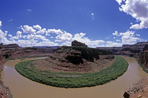 Canyonland National Park (Utah). Gooseneck : vue d'ensemble d'un méandre du Colorado(V 09093)