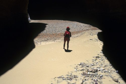 Paria Canyon (Utah).(V 09375)