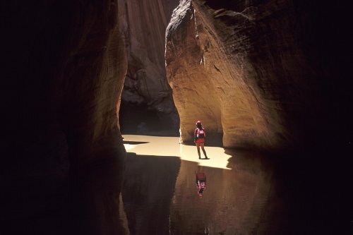 Paria Canyon (Utah).(V 09383)