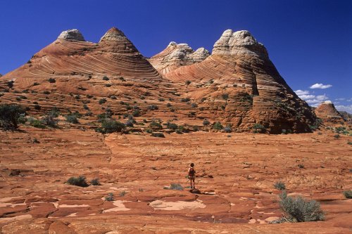 Paria Canyon (Utah). Coyote Butte. Plateau de grès rouges et buttes.(V 09485)