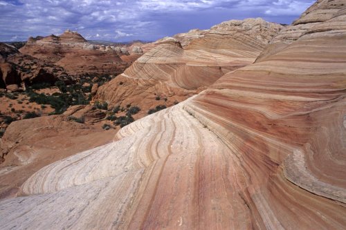 Paria Canyon (Utah). Coyote Butte. Buttes de grès strié. Vue d'ensemble.(V 09505)