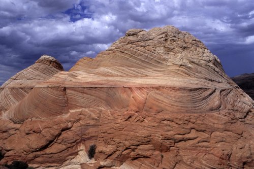 Paria Canyon (Utah). Coyotte Butte. Butte de grès strié.(V 09508)