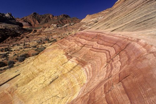 Paria Canyon (Utah. Coyote Butte. Buttes de grès colorés  jaunes et rouges.(V 09559)
