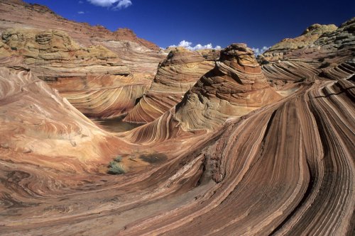 Paria Canyon (Utah). The Waves : vue d'ensemble.(V 09578)