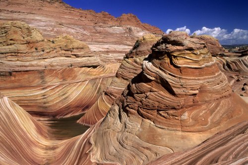 Paria Canyon (Utah). The Waves : vue d'ensemble.(V 09581)