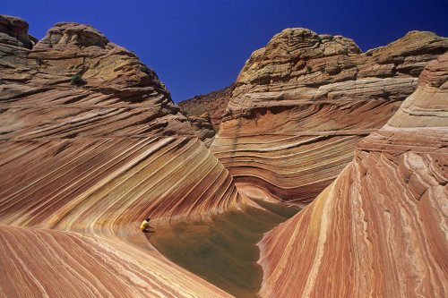 Paria Canyon (Utah). The Waves. Vue générale avec personnage.(V 09586)