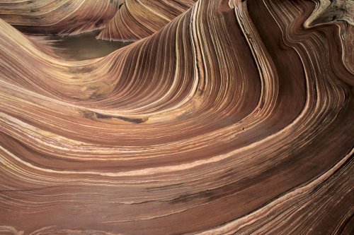 Paria Canyon (Utah). The Waves. Flaque d'eau dans grès striés.(V 09600)