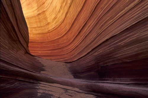 Paria Canyon (Utah). The Waves. Détail de strates colorées.(V 09608)