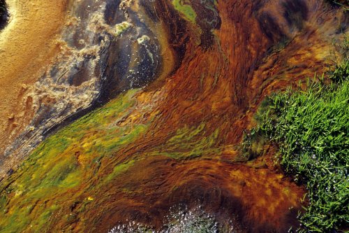 Islande. Massif ryolitique du Kerlingarfjöll. Flaque avec algues colorées.(V 10768)