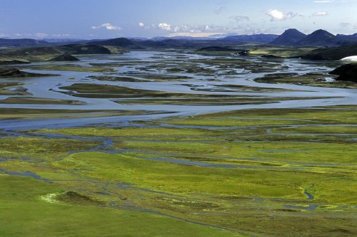 Islande. Zone marécageuse dans la nord du Landmannalaugar.(V 11184)