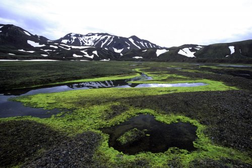 Islande. Paysage duLandmannalaugar.(V 11194)