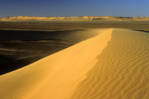 Grande dune de sable orange avec crête balayée par le vent dans l'Erg Oubari (Lybie).(V 11493)