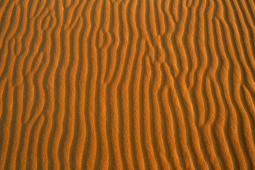 Gros plan sur les rides de sable des dunes de l'Erg Oubari (Lybie).(V 11533)