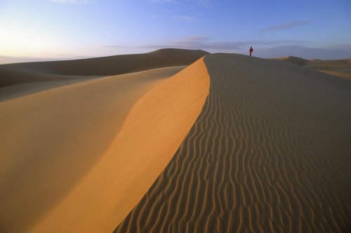 Crête dunaire au lever du soleil avec silhouette en fond.Erg Oubari (Lybie). (V 11923)
