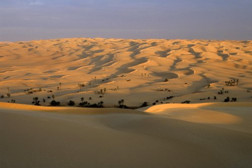 Lac d'Oum El Ma au milieu de grandes dunes - Vue d'ensemble (Désert, Erg Oubari, Lybie)(V 12038)