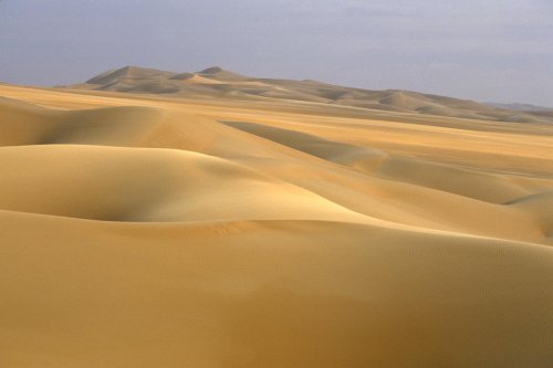 Paysage de dunes – Vue d’ensemble avec grandes dunes en fond (Erg Oubari, Désert de l’Akakus, Lybie)(V 12089)