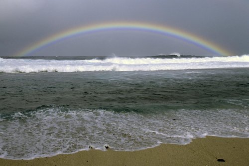 La Réunion(V 13610)