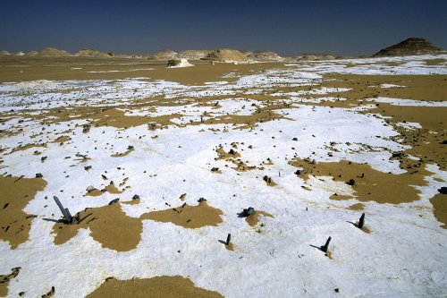 Région d'El Matar(V 13800)