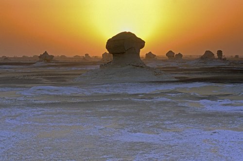 New White Desert. Champignons de craie au coucher du soleil.(V 13867)