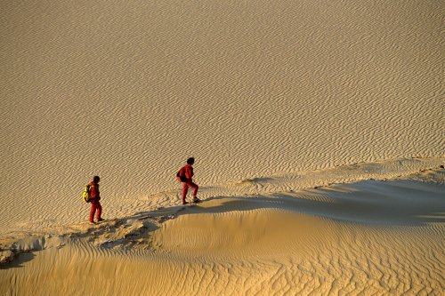 Western Desert au coucher du soleil(V 14206)