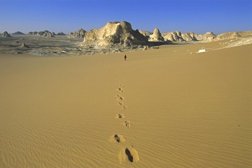 Western Desert(V 14248)