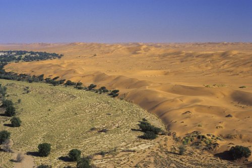 Désert du Namib. Vallée de la Kuiseb en bordure du Namib(V 15231)