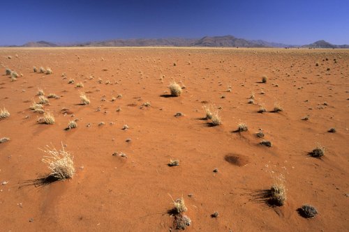Désert du Namib. Grande plaine de sable orange(V 15595)