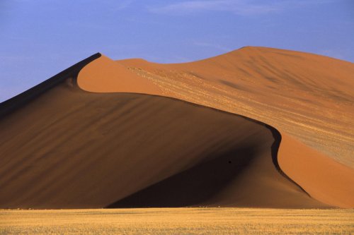 Dune géante du parc du Namib(V 15617)