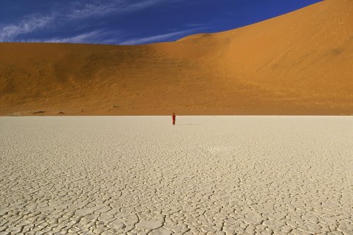 Désert du Namib. Pan de Deadvlei(V 15656)