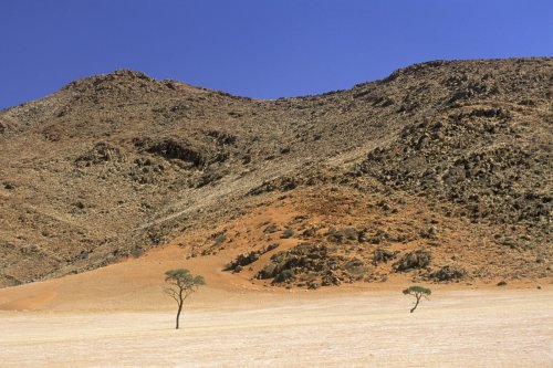 Désert du Namib. Tiras Mountains(V 16311)